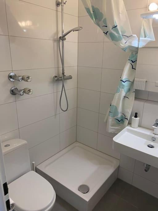 Schoene, Kleine, Gemuetliche Wohnung - Stadtmitte Mainz Buitenkant foto