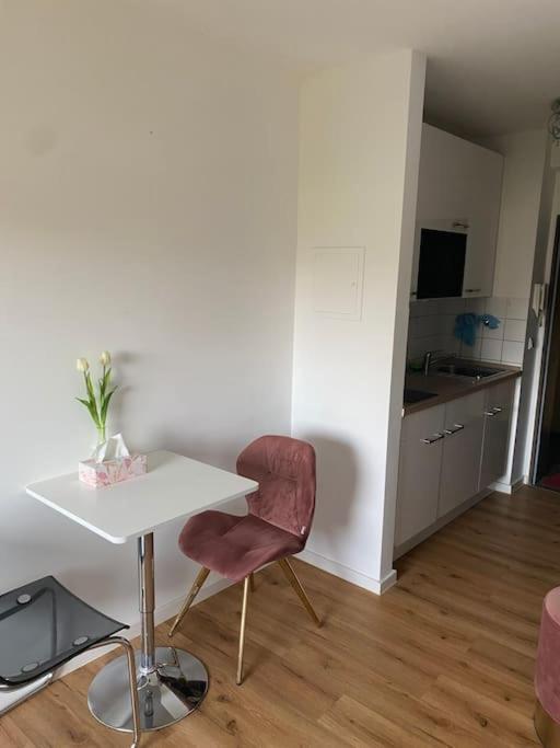 Schoene, Kleine, Gemuetliche Wohnung - Stadtmitte Mainz Buitenkant foto