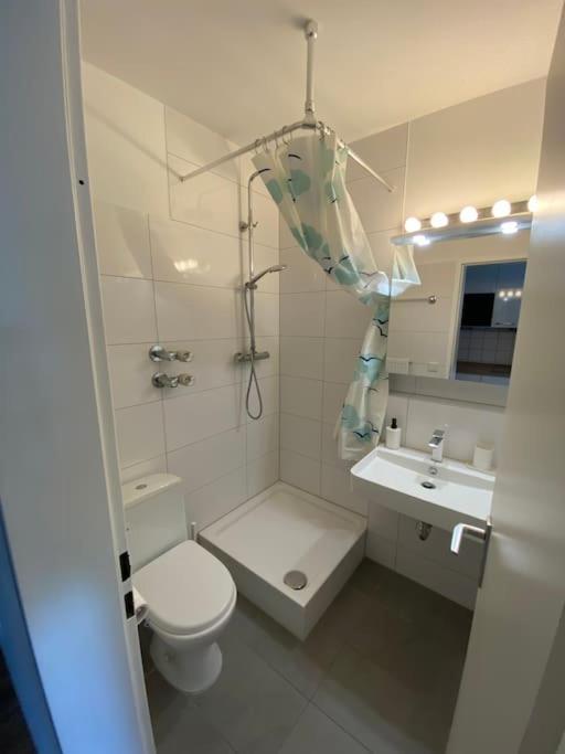 Schoene, Kleine, Gemuetliche Wohnung - Stadtmitte Mainz Buitenkant foto